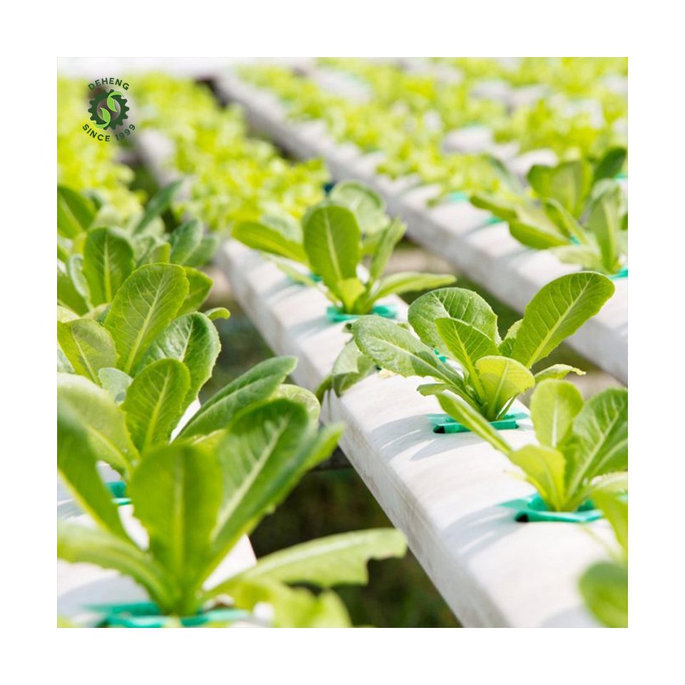 Made China Superior Quality Agricultural Greenhouses Nft Channel Hydroponics System Set Kit Nft Hydroponic In Pvc Pipe