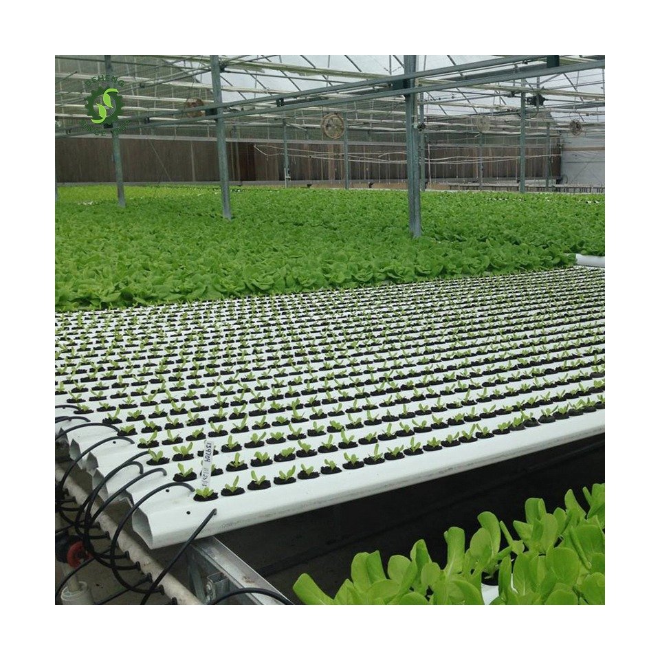 Made China Superior Quality Agricultural Greenhouses Nft Channel Hydroponics System Set Kit Nft Hydroponic In Pvc Pipe