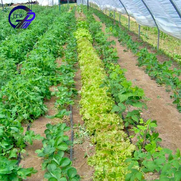 Wholesale Plastic Agricultural Greenhouses Film For Vegetables Flowers Garden Greenhouse Tunnel For Agriculture Green House