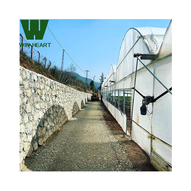 High Light Transmission Film greenhouses Large Size High Tunnel Agricultural Multi-Span Film Greenhouse