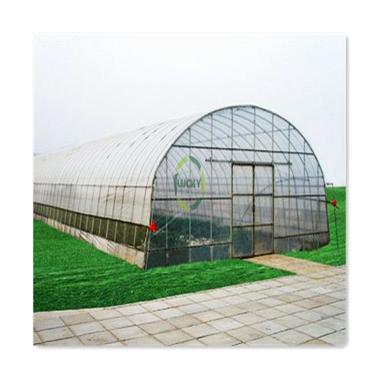High Quality Large Size Tunnel Agricultural Greenhouse For Tomato Growing