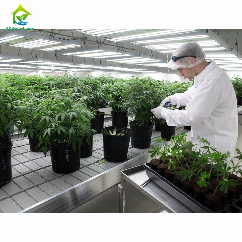 Factory Direct Sale ABS Flood Seedbed Ebb and Flow Grow Table Seed Planting Flood and Drain Rolling Table Bench