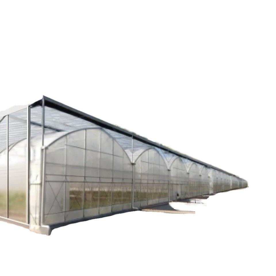 Commercial High Tunnel Greenhouse Flower Growing Large PVC LDPE Steel Low Cost Single Double Agricultural Greenhouse
