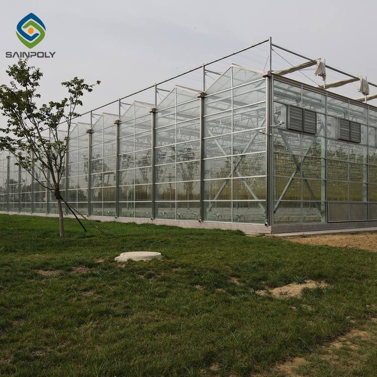 Hot Sale Sainpoly Glass Greenhouse For Agriculture From China