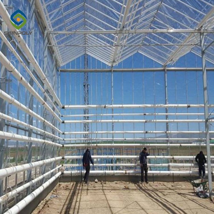 Hot Sale Sainpoly Glass Greenhouse For Agriculture From China
