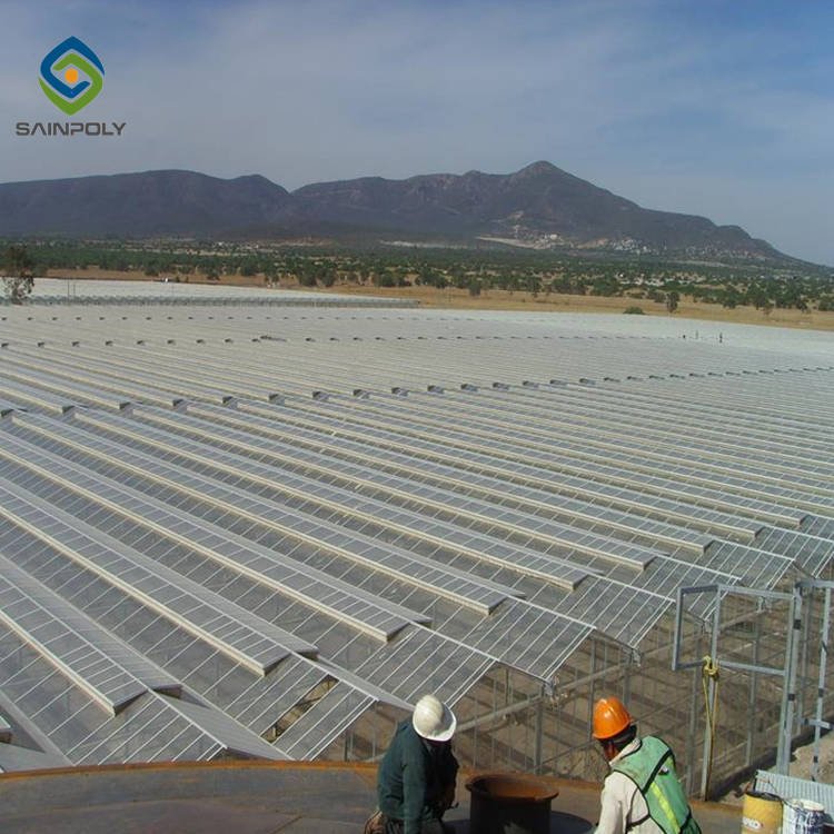 Hot Sale Sainpoly Glass Greenhouse For Agriculture From China