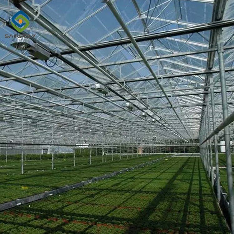 Hot Sale Sainpoly Glass Greenhouse For Agriculture From China