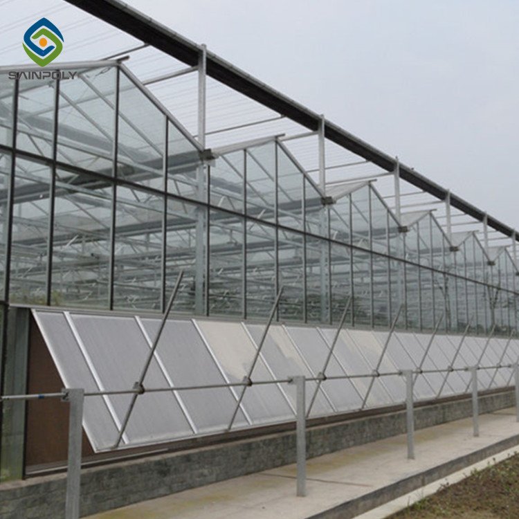 Hot Sale Sainpoly Glass Greenhouse For Agriculture From China