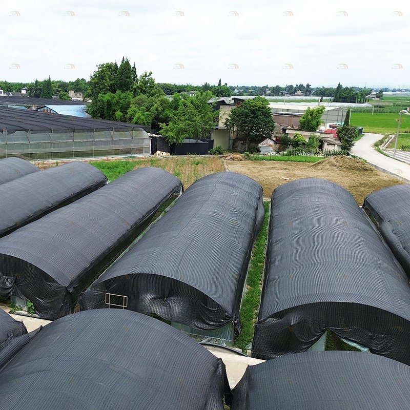 Farming growing light shed blackout agricultural greenhouse black white film single span mushroom greenhouse