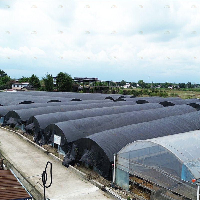 Farming growing light shed blackout agricultural greenhouse black white film single span mushroom greenhouse