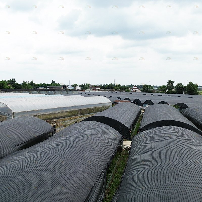 Farming growing light shed blackout agricultural greenhouse black white film single span mushroom greenhouse
