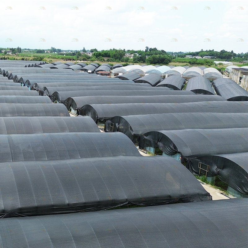 Farming growing light shed blackout agricultural greenhouse black white film single span mushroom greenhouse