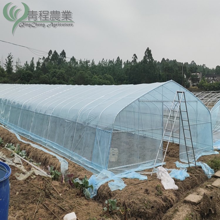 Agriculture low cost poly tunnel green house/tomato greenhouse polycarbonate sheet for small garden greenhouse