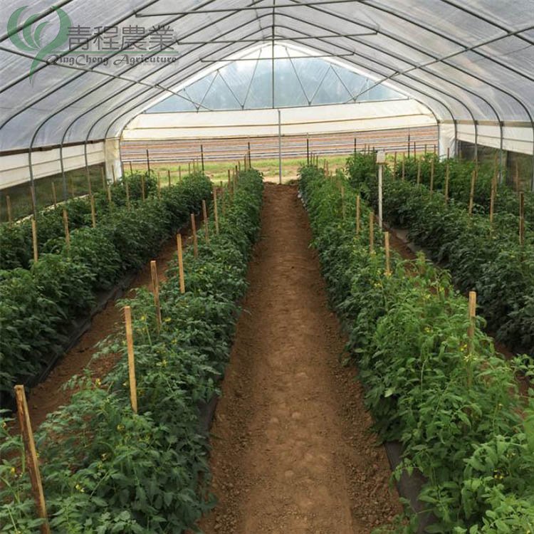 Agriculture low cost poly tunnel green house/tomato greenhouse polycarbonate sheet for small garden greenhouse