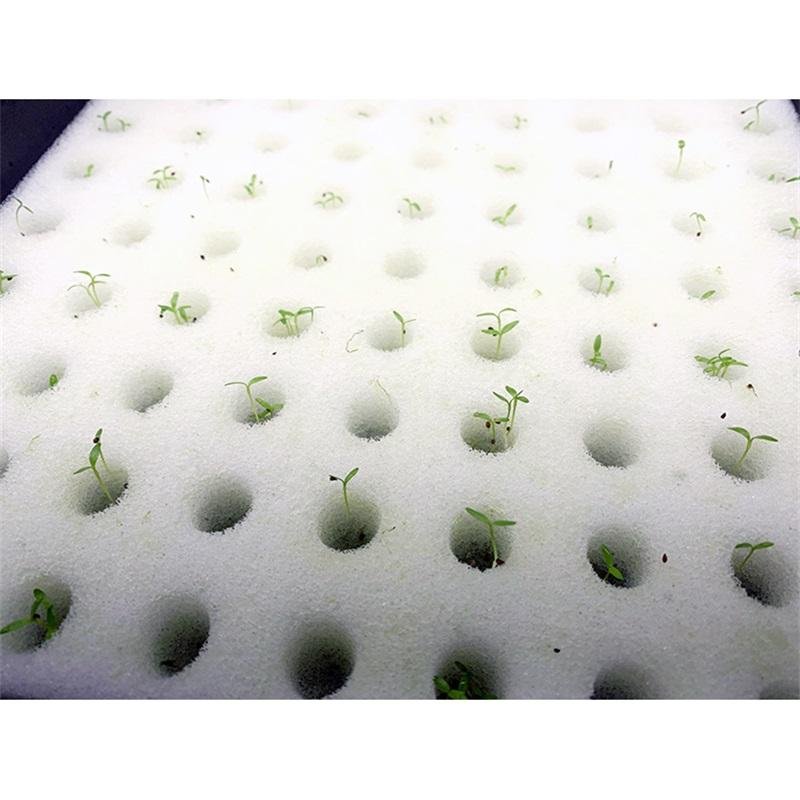 Strong hydrophilic and high germination rate Hydroponics sponge for greenhouse