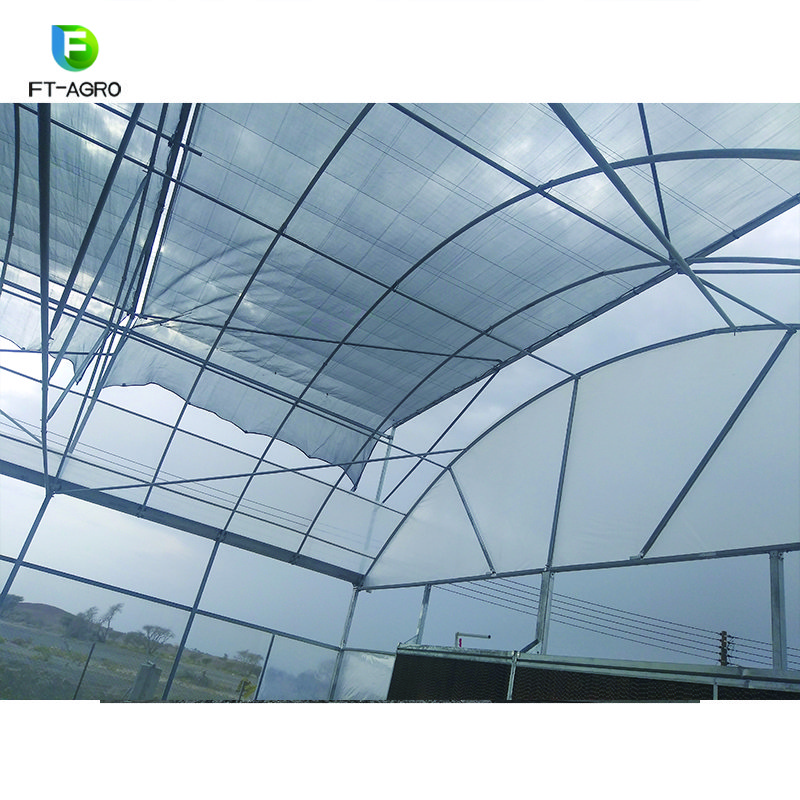 Stable structure multi span agricultural tomato greenhouse