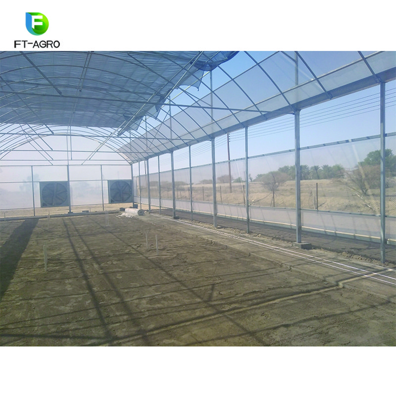 Stable structure multi span agricultural tomato greenhouse