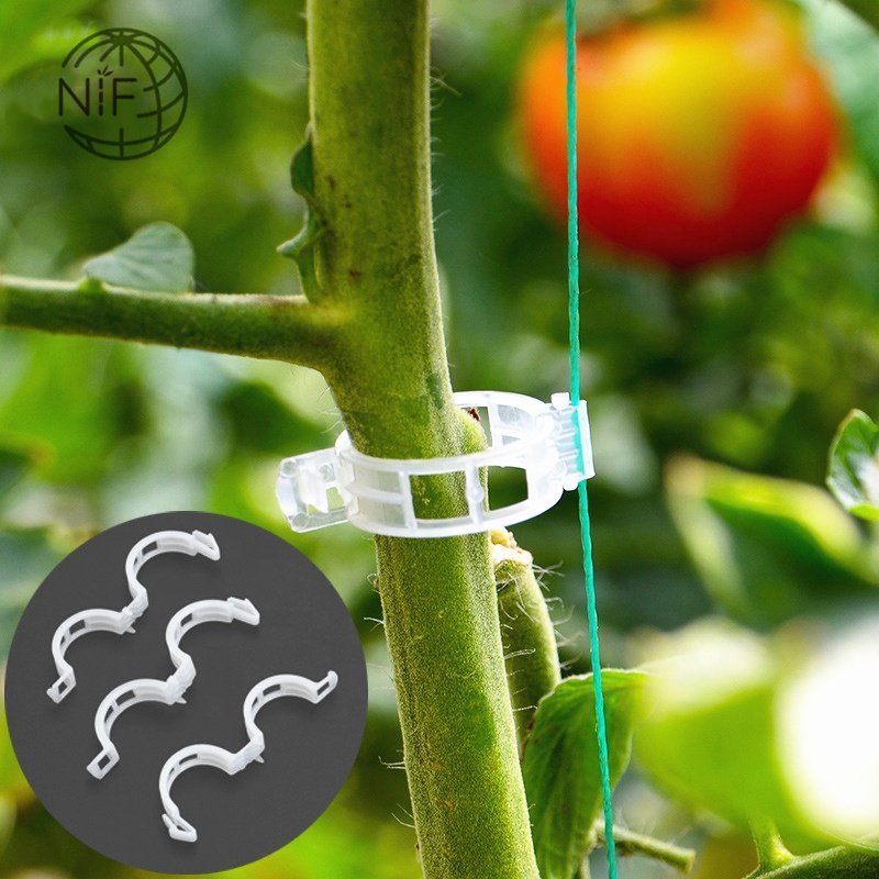 NIF 15mm 22mm 24mm Tomato Clips Plant support clips Plastic Vine Clips For Garden Tomato Support Use