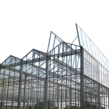 Automatic Glass Greenhouse Strawberry Picking Garden Greenhouse Solar Panel Greenhouse