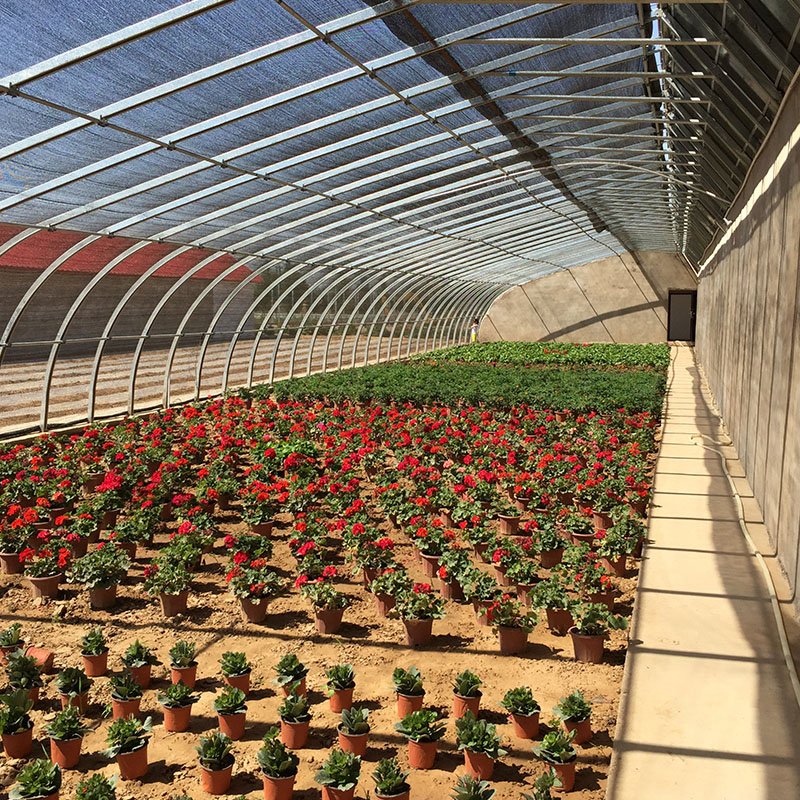 Agricultural solar greenhouse with heating system