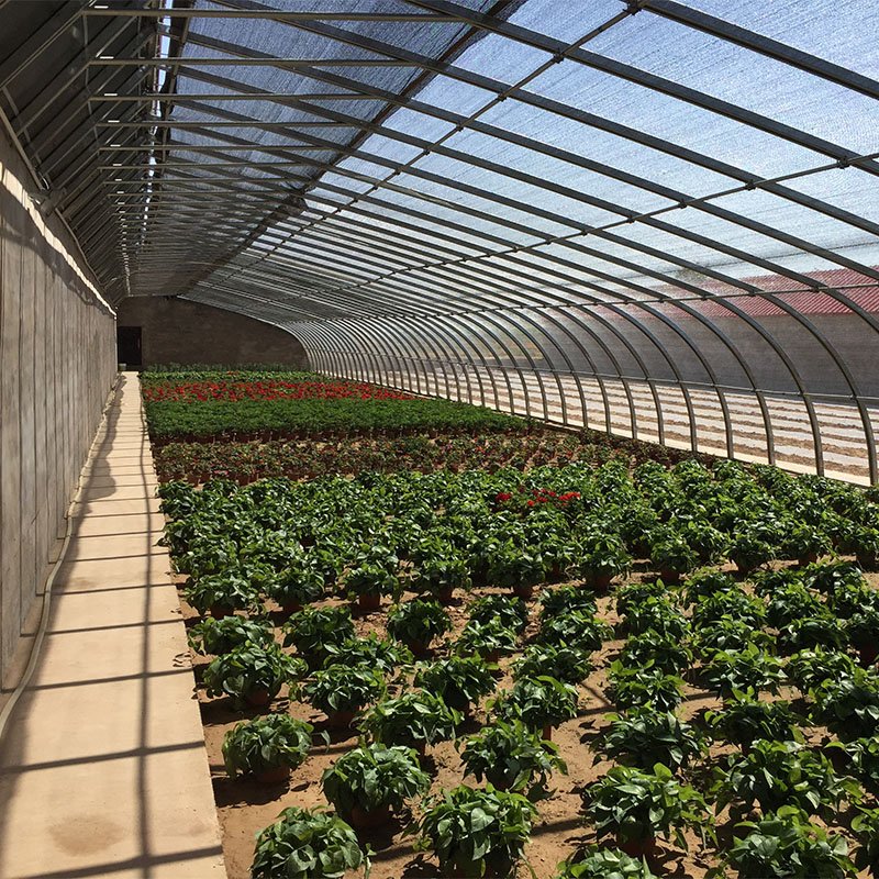 Agricultural solar greenhouse with heating system