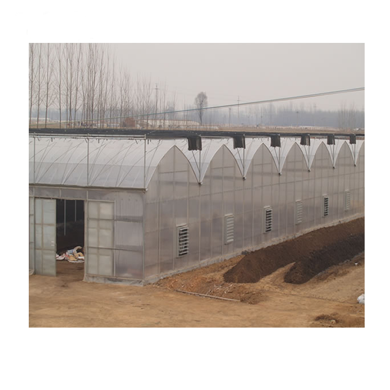 Commercial Multi Spans Greenhouse PC Sheet/ Glass/ Film Agricultural Green House with Hydroponics Grow System