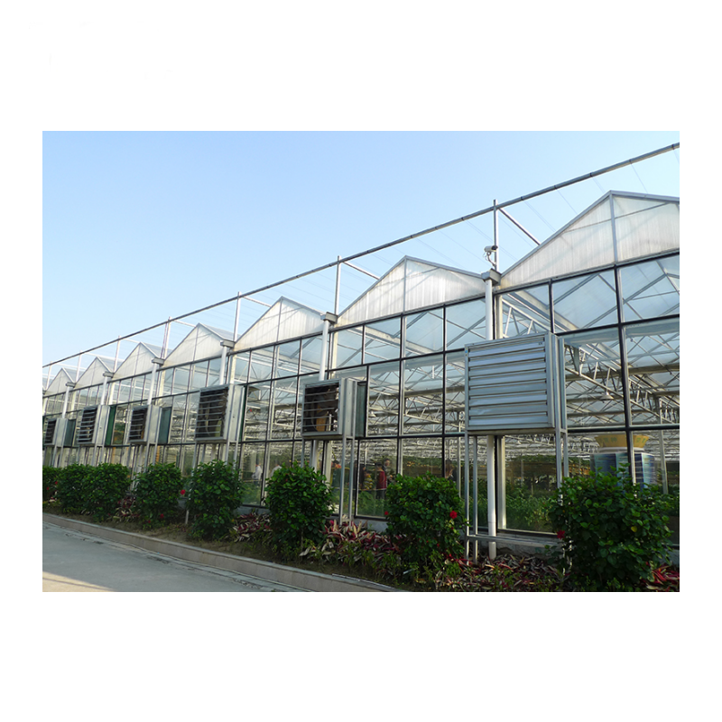 Commercial Multi Spans Greenhouse PC Sheet/ Glass/ Film Agricultural Green House with Hydroponics Grow System