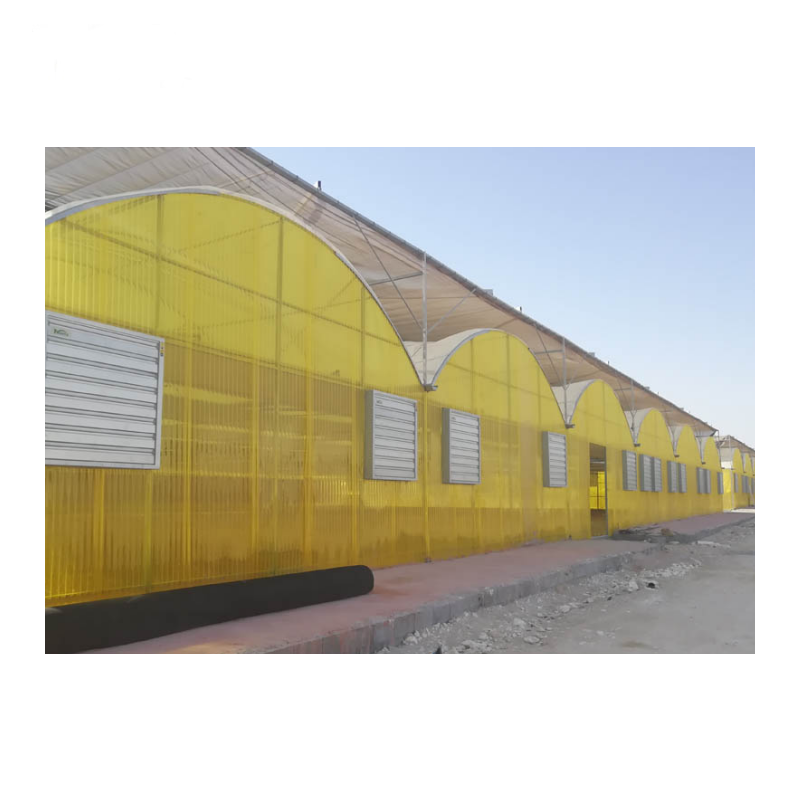 Commercial Multi Spans Greenhouse PC Sheet/ Glass/ Film Agricultural Green House with Hydroponics Grow System