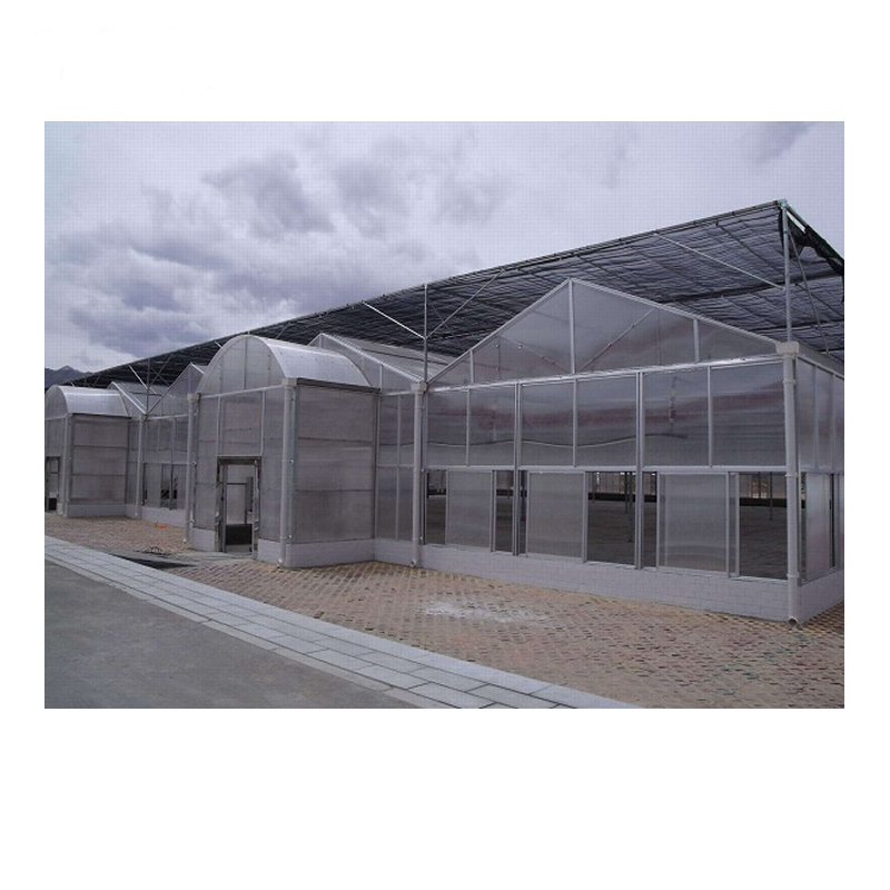 Commercial Multi Spans Greenhouse PC Sheet/ Glass/ Film Agricultural Green House with Hydroponics Grow System