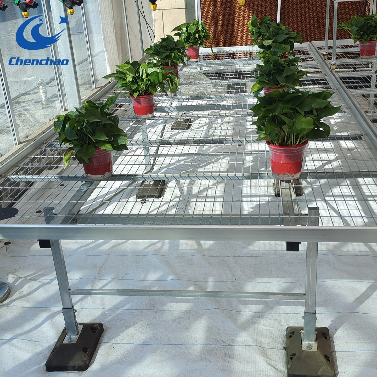 Vertical Farming Hydroponics Medical Plants Mobile Moving Indoor Plant Growing Rack Grow Trays 4x8
