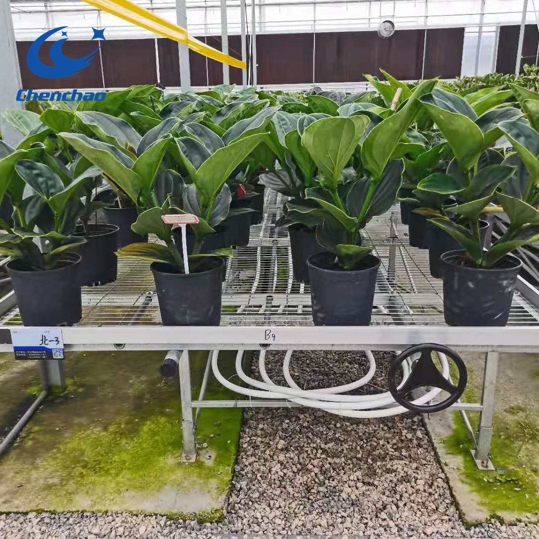 Vertical Farming Hydroponics Medical Plants Mobile Moving Indoor Plant Growing Rack Grow Trays 4x8