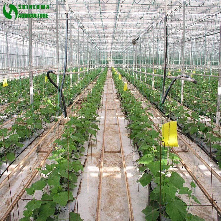 Coconut Coir Substrate Cultivation Hydroponics Growing System for Agricultural Greenhouses Tomatoes Cucumber Growing
