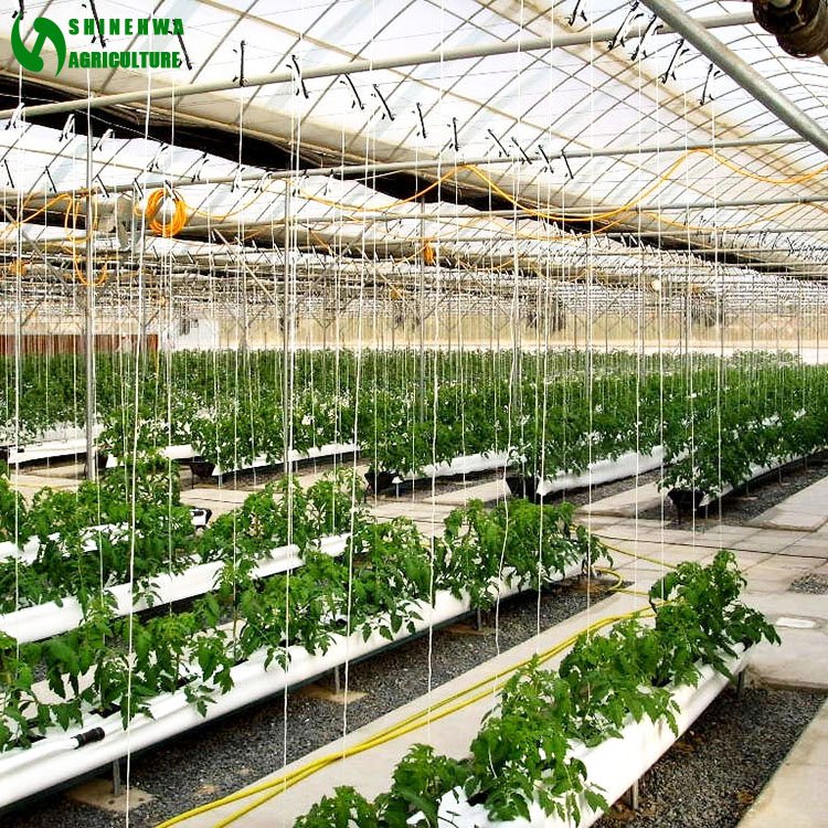 Coconut Coir Substrate Cultivation Hydroponics Growing System for Agricultural Greenhouses Tomatoes Cucumber Growing