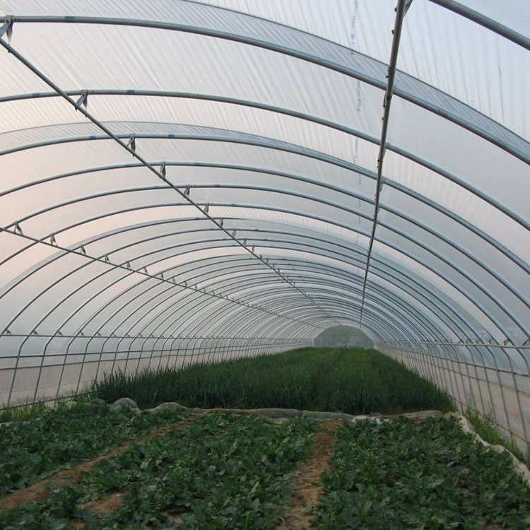 High Quality Custom poly tunnel green house/tomato green house Plant Growing Greenhouse frame