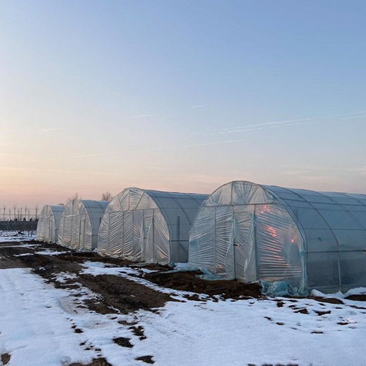 High Quality Custom poly tunnel green house/tomato green house Plant Growing Greenhouse frame