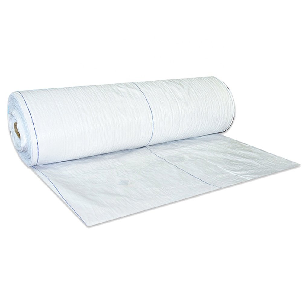 Manufacturer Sale Biodegradable PP Woven Block Anti UV Weed Barrier Cloth Garden Plastic Weedmat for Greenhouse Landscape Fabric