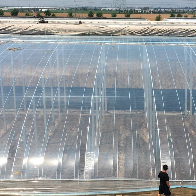 200 micron uv resistant diffusion plastic greenhouse film agriculture price