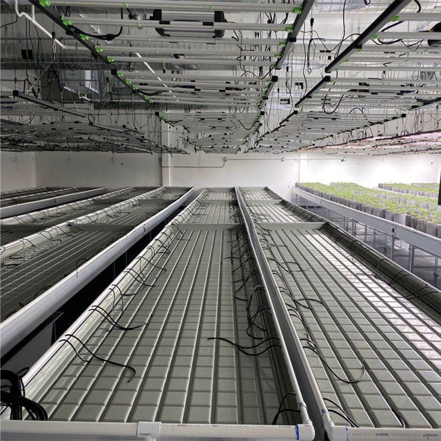 ABS Plastic Tray Wholesale Factory Price High Quality Rolling Benches For Commerical Garden Table Top Growing 4 FT X 4 FT
