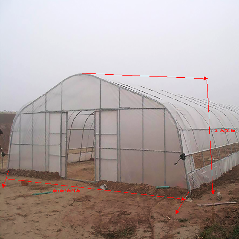 High tunnel film greenhouse tomato greenhouse with shade net agricultural green houses