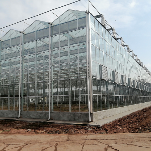 High Efficiency Large Multi-Span Glass Agricultural Greenhouse