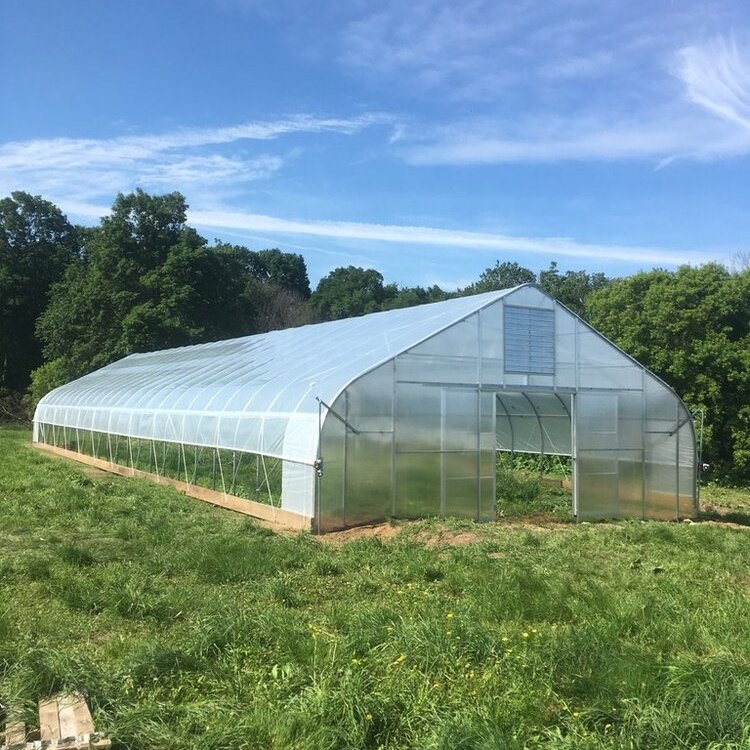 Stocked 8x30 Meter Agricultural Commercial Vegetable Plastic Film Tunnel Greenhouse For Tomato Rose Mushroom
