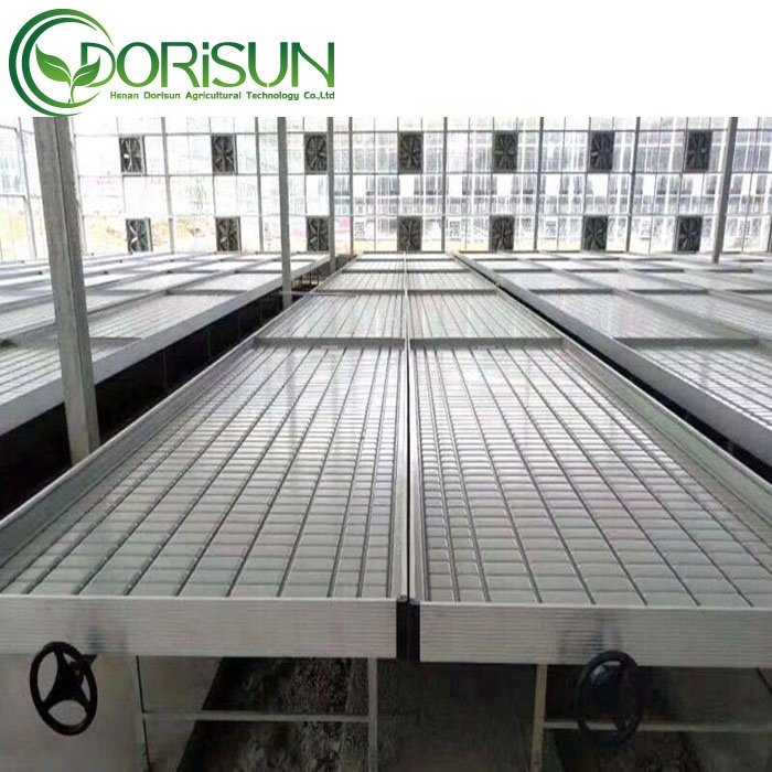 High Quality Green House Rolling Bench Grow Table Wire Mesh Tray Greenhouse Flowers Forest Nursery Seedbed System