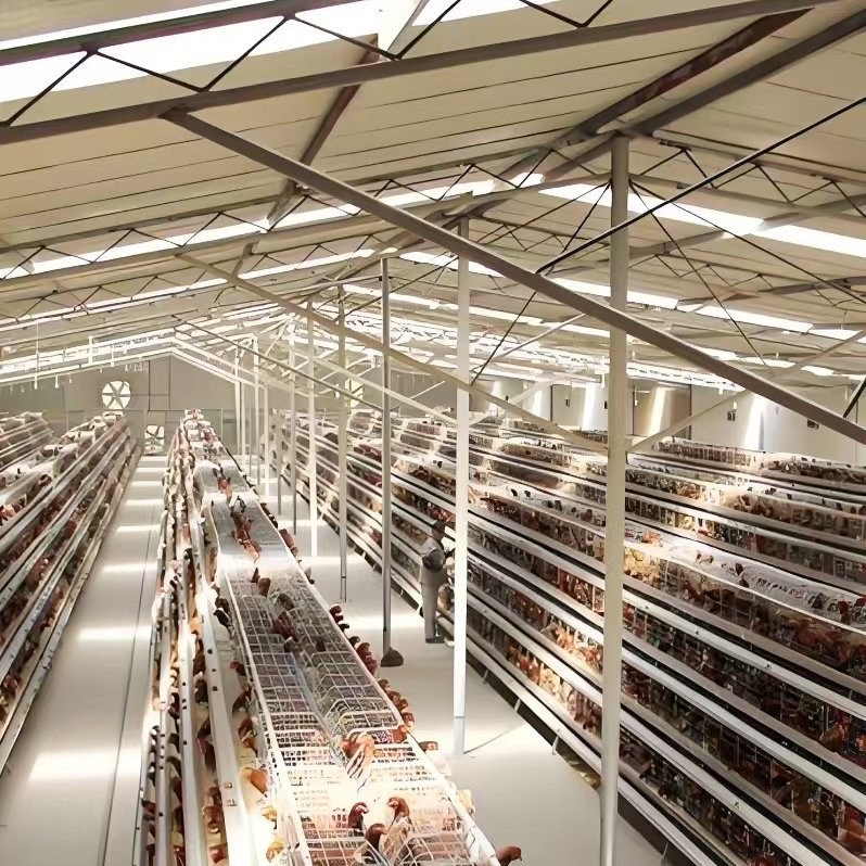 Factory Direct Large Scale Animal Husbandry Greenhouses Optimal Poultry Animal Farms Breeding Durable Film Plastic Steel PE