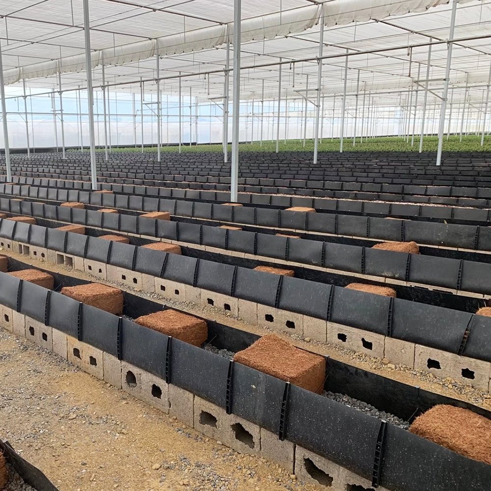 agricultural greenhouses hydroponic grow trough system kit