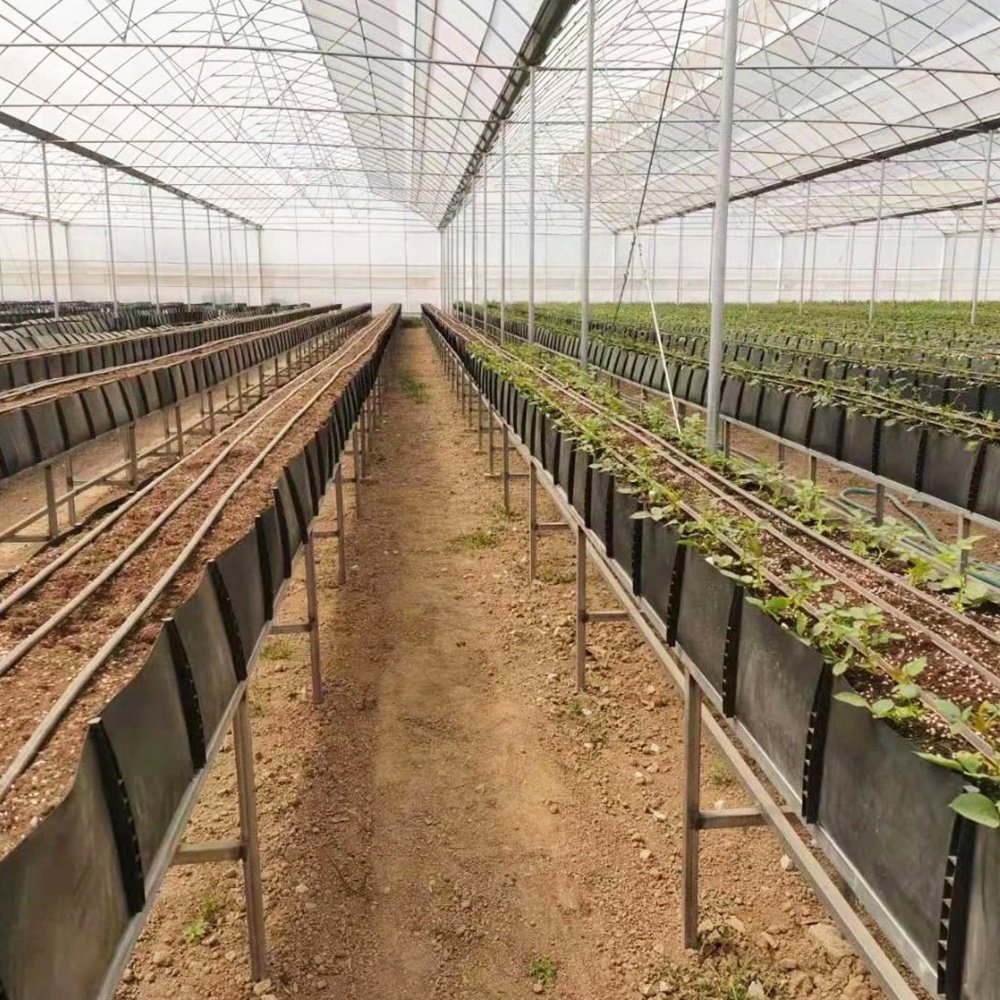 agricultural greenhouses hydroponic grow trough system kit