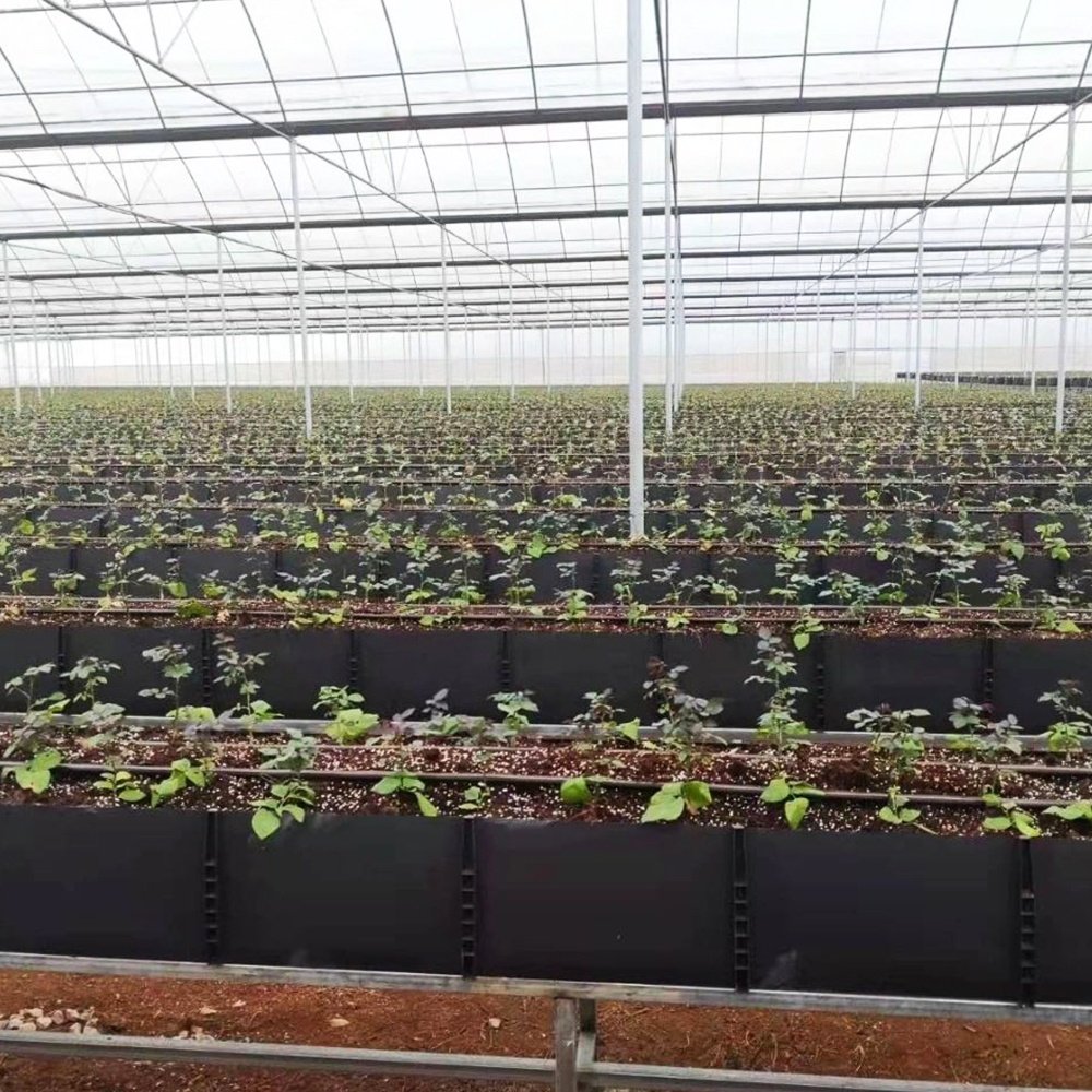 agricultural greenhouses hydroponic grow trough system kit