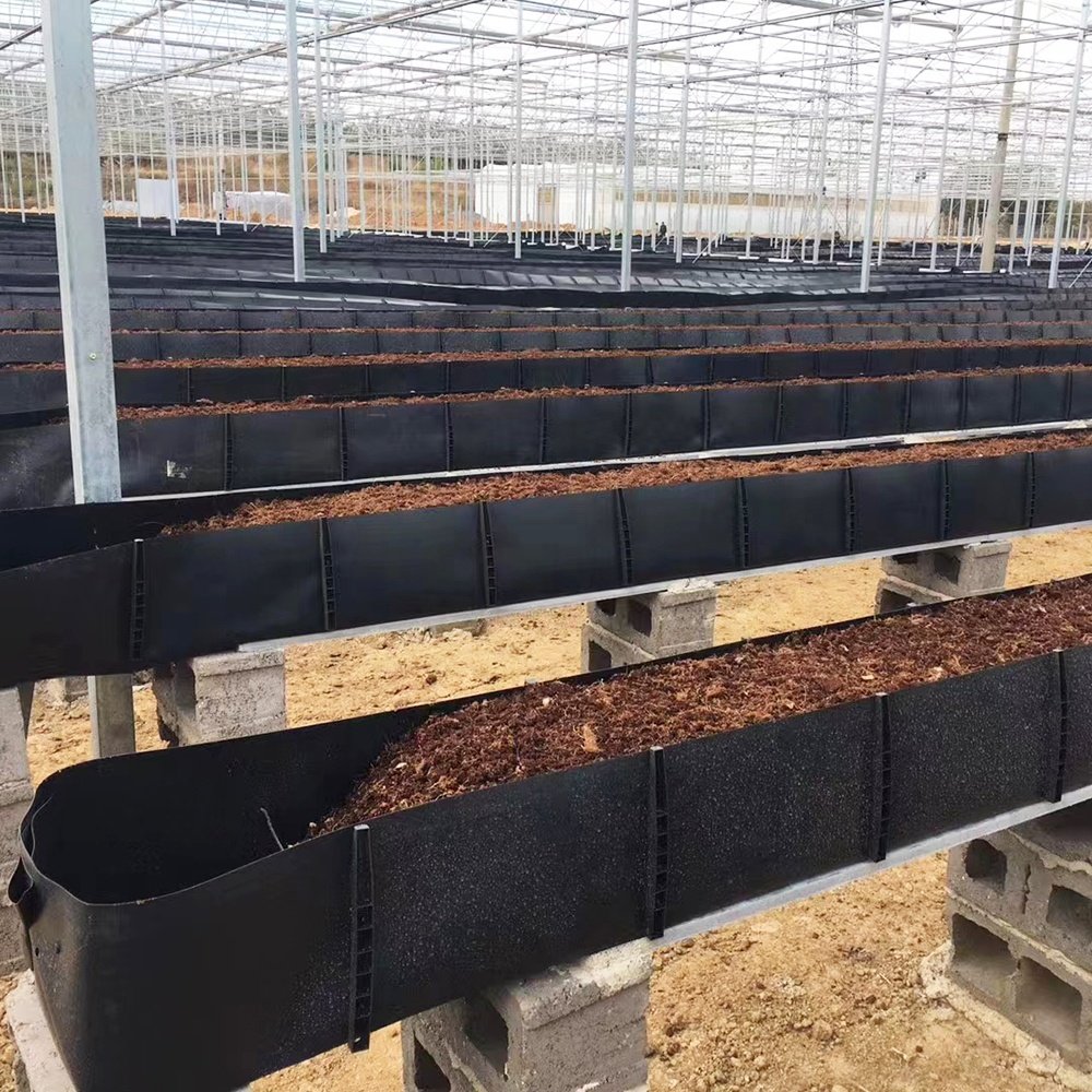 agricultural greenhouses hydroponic grow trough system kit