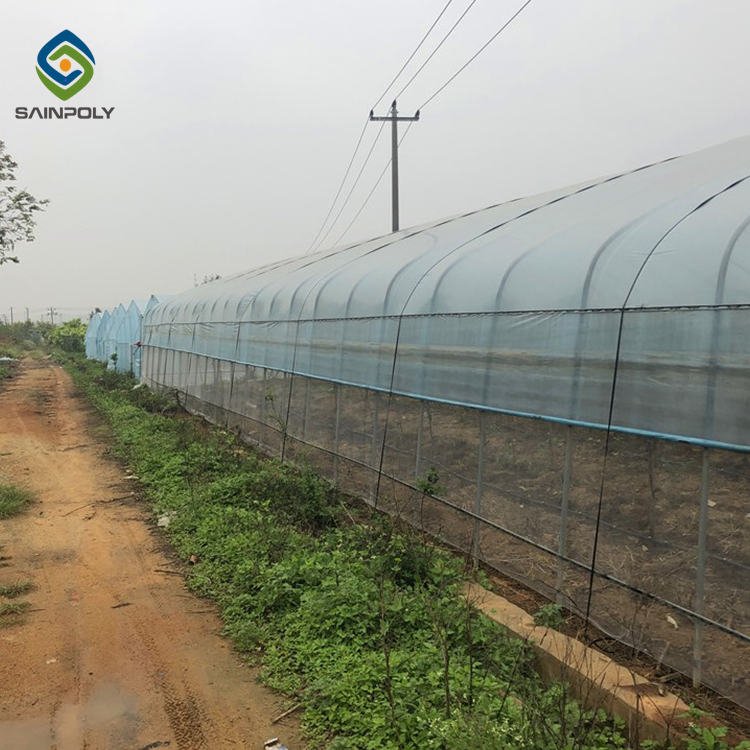 Agriculture Hydroponic Systems Invernadero Tunnel Film Plastic Greenhouse With Vegetables Growing System Large For Sale