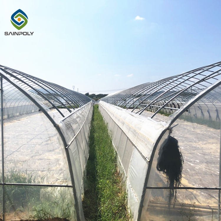 Agriculture Hydroponic Systems Invernadero Tunnel Film Plastic Greenhouse With Vegetables Growing System Large For Sale