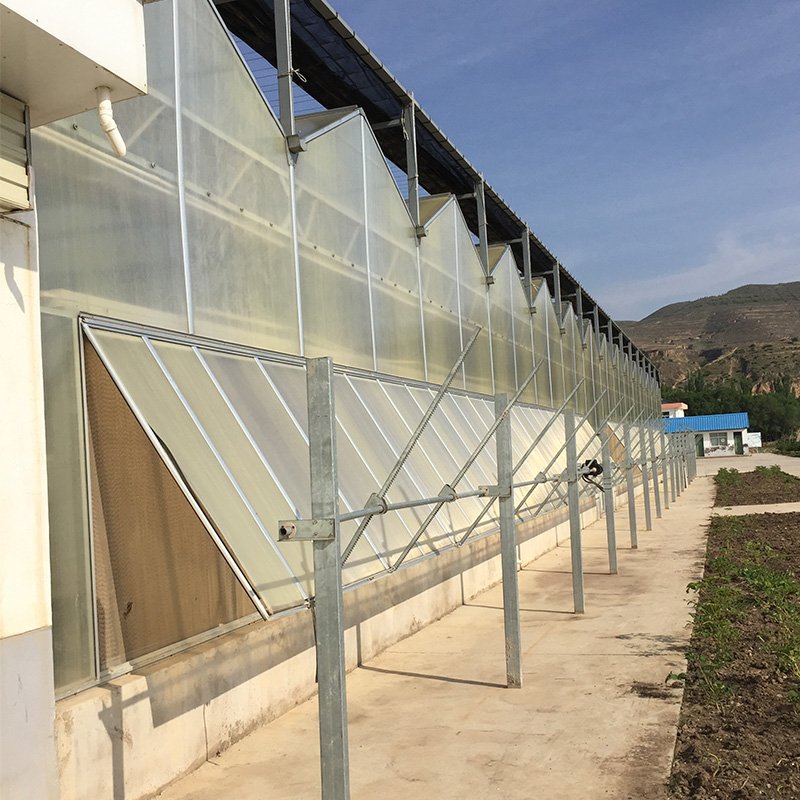 Litai--high quality greenhouse plastic sheet/PC sheet greenhouse